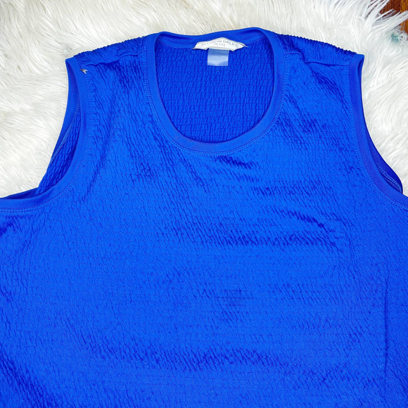 Allison Daley Petite Blue Textured Sleeveless Top Women's Size Large Petite - Picture 3 of 7